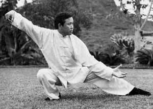 Dong_Zeng_Chen_Snake_opt300